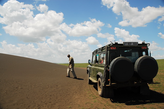 Serengeti plains