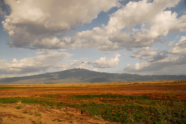 Serengeti plains