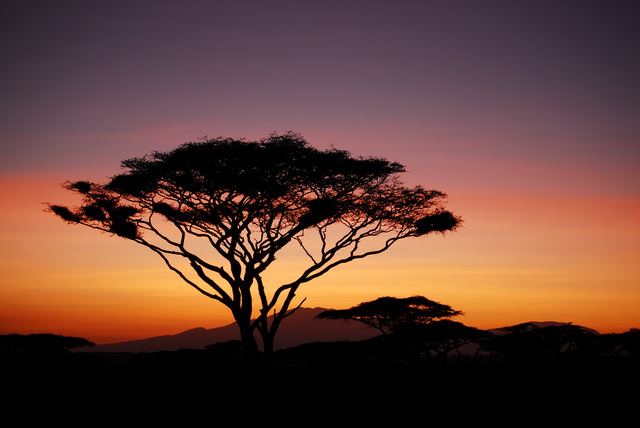 Serengeti sunrise
