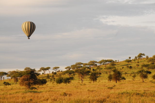 Hot-air balloon trips