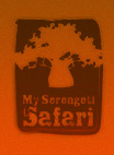 My Serengeti Safari